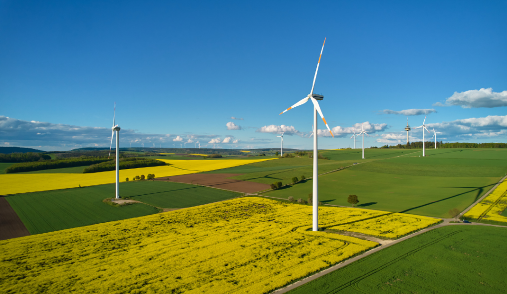 Green and yellow fields with wind turbines.